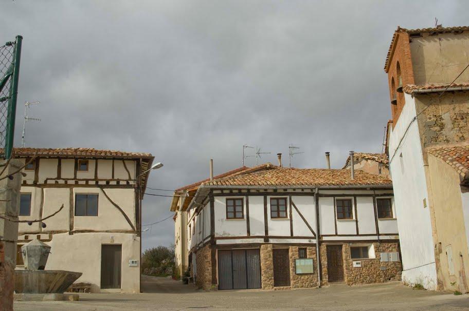 Fotografía de la galería de imágenes con id: 884